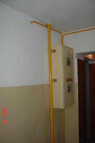 10d.JPG